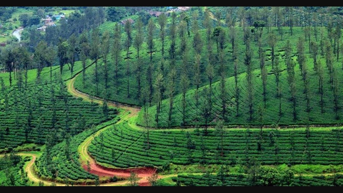 best HomeStay