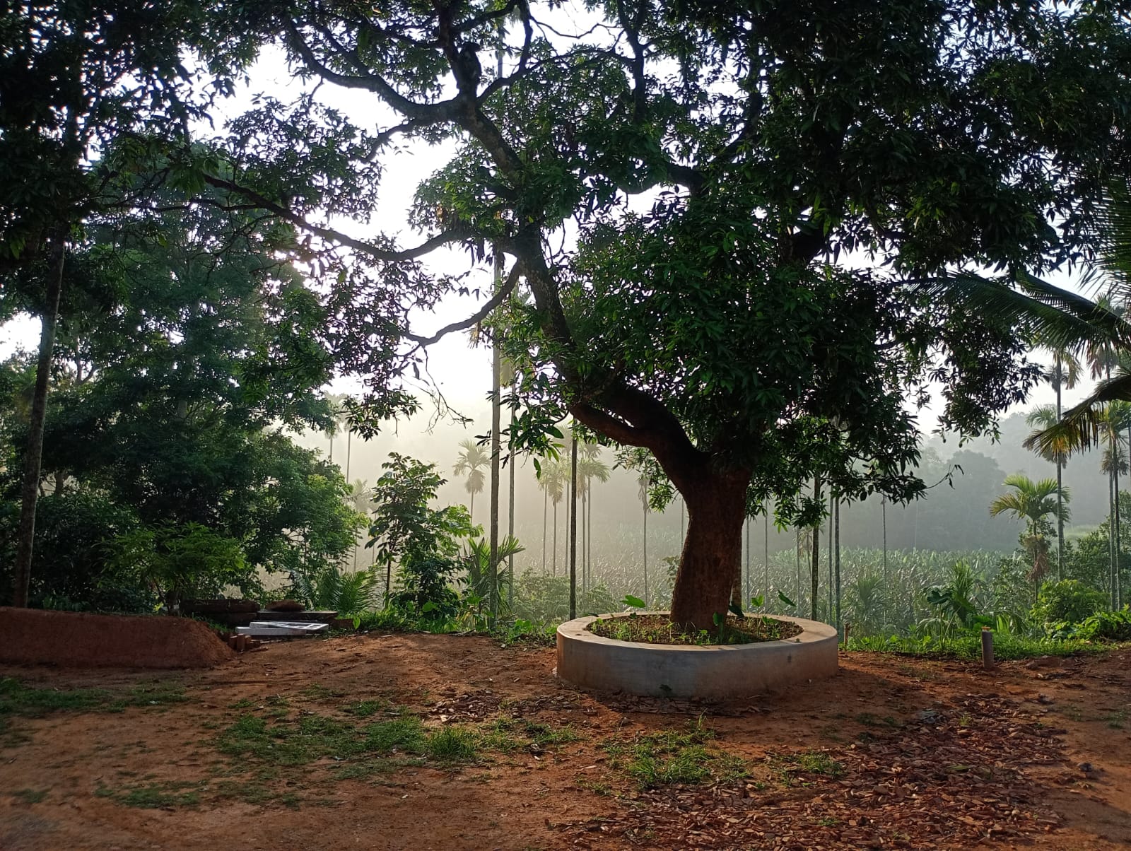 Double Room at Aham Homestay Wayanad