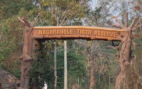 Nagarhole National Park near Wayanad