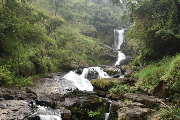 Iruppu Waterfalls Wayanad