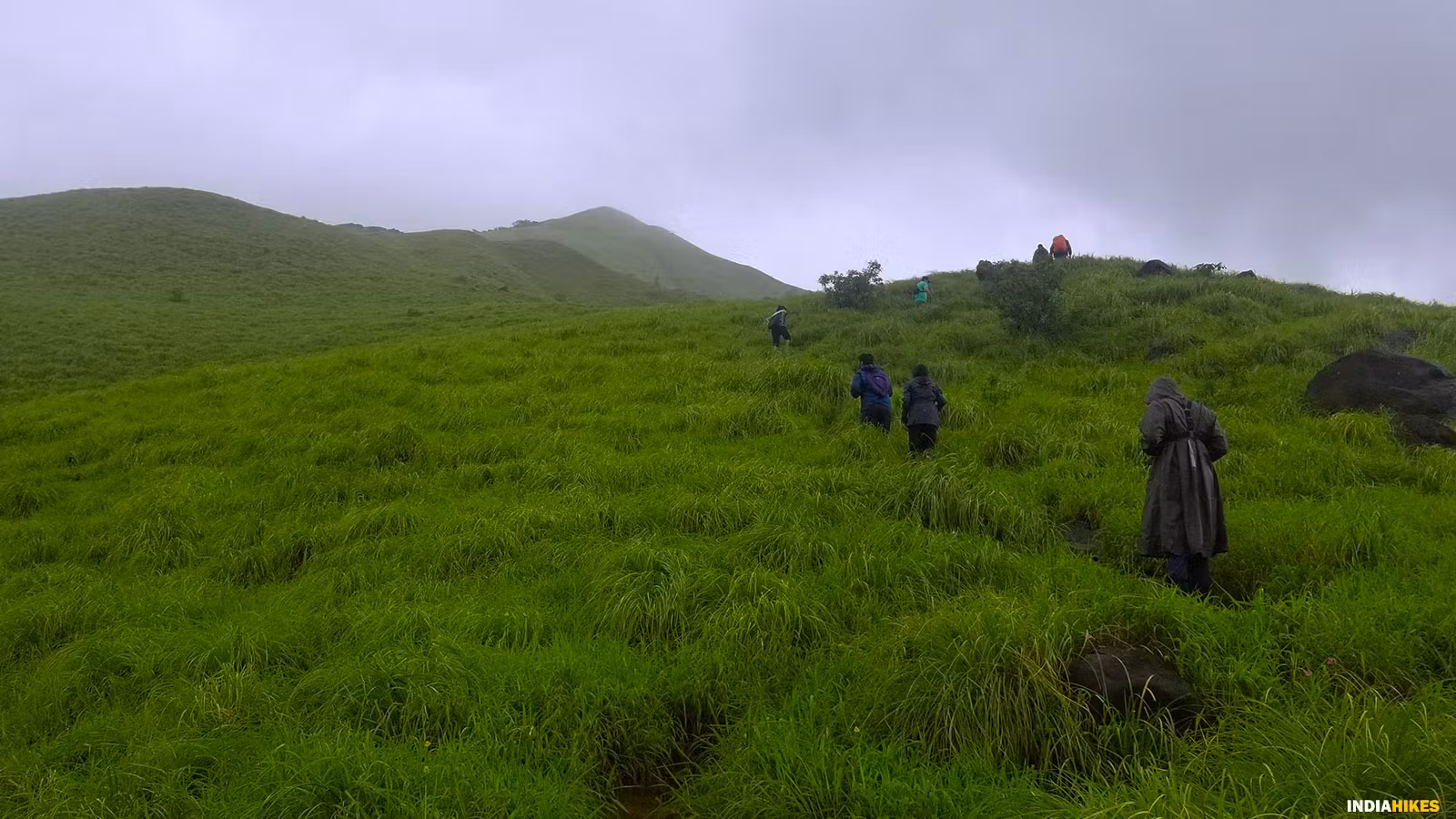 best HomeStay